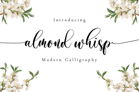 Almond Whisp: Elegant Font for Campaigns