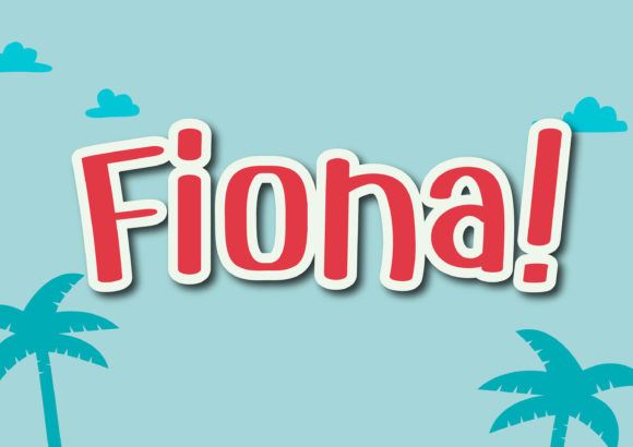 Fiona: A Handwritten Font for Business