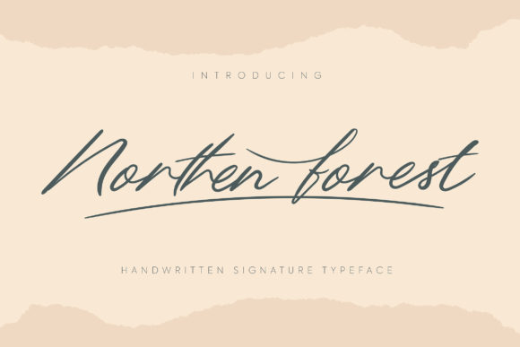 Northern Forest Font: Elegant Script Amp